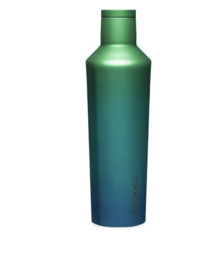CORKCICLE - 24oz Tumbler Chameleon