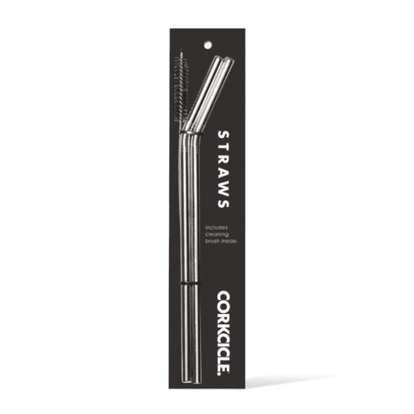 CORKCICLE - 2pc Straws - Silver