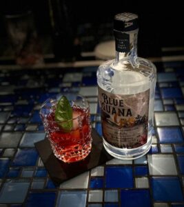 Gin Dinner Extraordinaire: A Pairing Experience with GC Distillery & Chef Mo